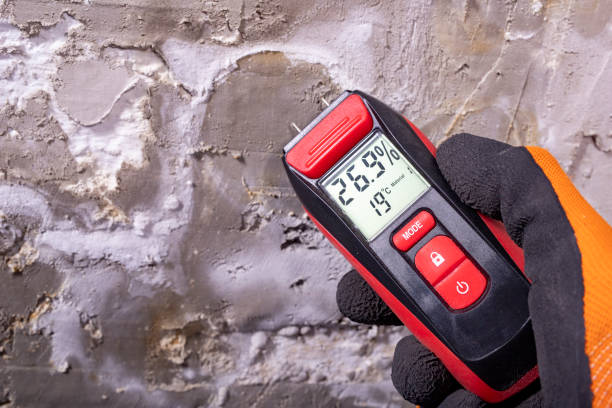 Best Commercial Mold Removal  in Northwest Harwinton, CT