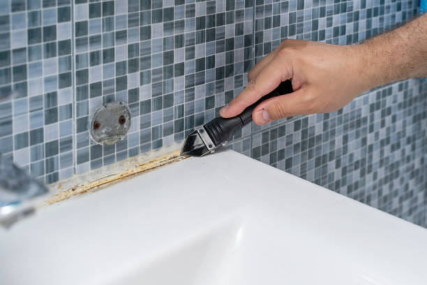 Best Emergency Mold Removal  in Northwest Harwinton, CT