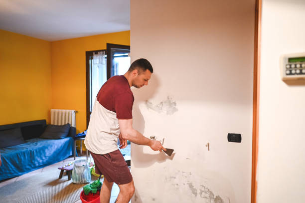 Best Certified Mold Removal  in Northwest Harwinton, CT