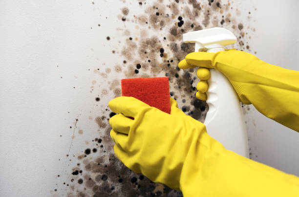 Water Damage Restoration in Northwest Harwinton, CT